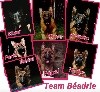  - Team Béadrie 