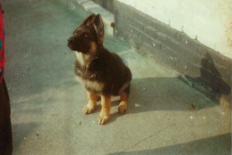 Zyska De La Beadrie