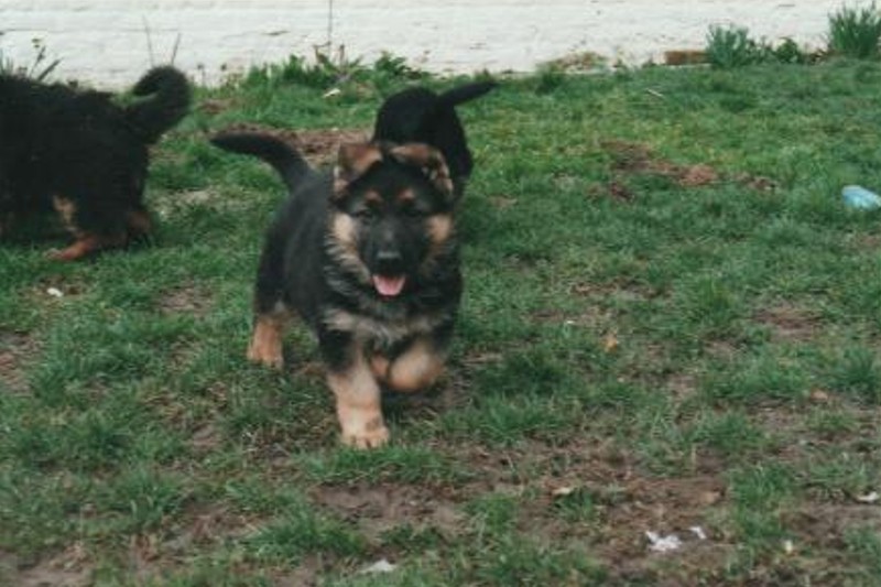Zasko De La Beadrie