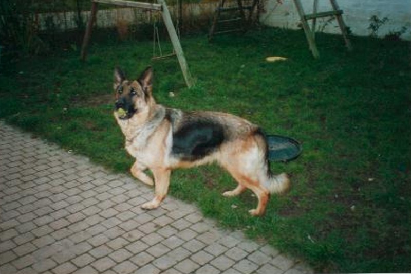 Ully vom tamarasptize