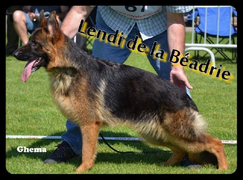 Lendi De La Beadrie